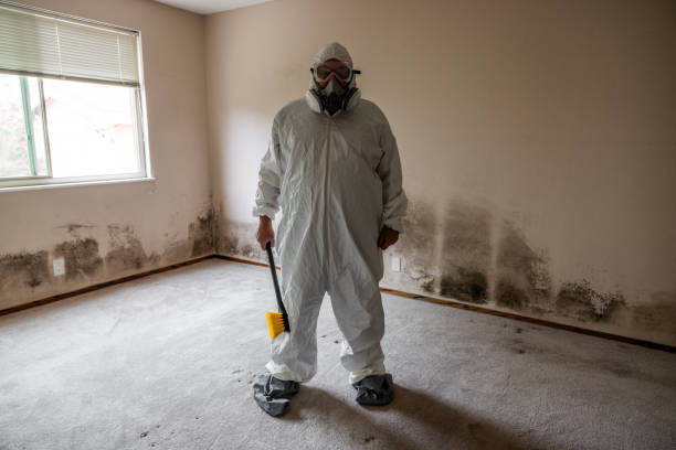 Asbestos and Lead Testing During Mold Inspection in El Macero, CA